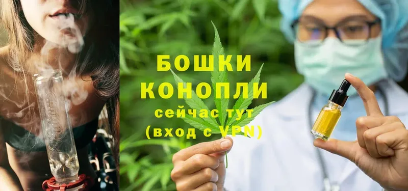 блэк спрут зеркало  Правдинск  Бошки марихуана OG Kush 